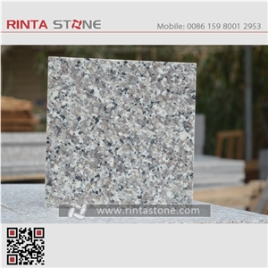 G436 Swan White Dallas Granite Goose Grey Gray Cheaper Stone
