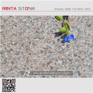 Marry Red Granite New Rosa Spring Natural Beige / Buff Stone Blocks Quarry