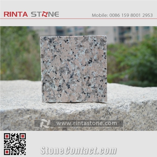 New Huidong Red Rosa Pink Sardo Porrino Granite