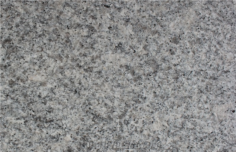 China G602 Grey Bianco Sardo Granite Flamed Tiles&Slabs