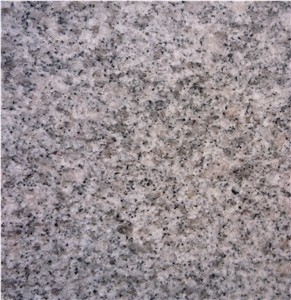 China G602 Grey Bianco Sardo Granite Polished Tiles&Slabs