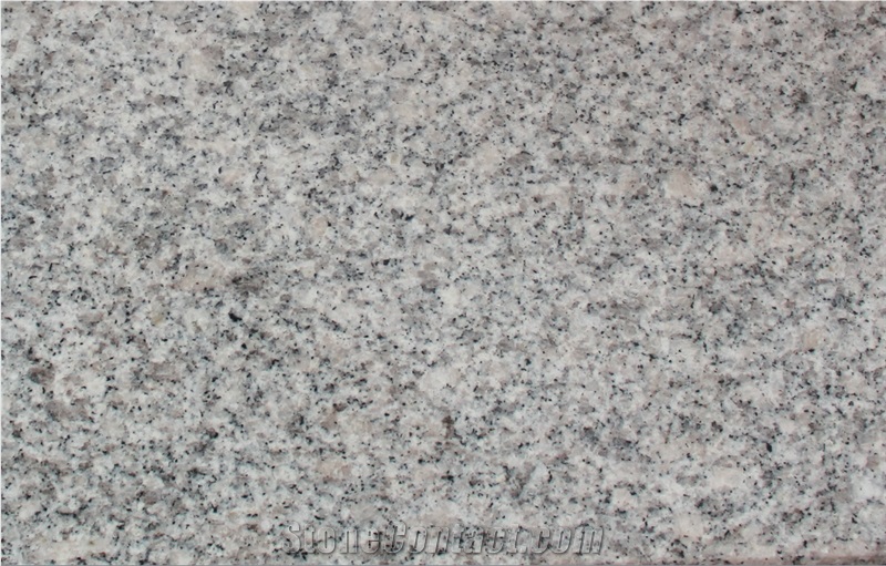 China G602 Grey Bianco Sardo Granite Polished Tiles&Slabs