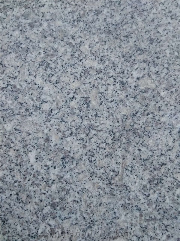 China G602 Grey Bianco Sardo Granite Polished Tiles&Slabs