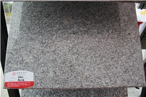 China G602 Grey Bianco Sardo Granite Polished Tiles&Slabs