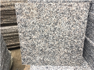 China Grey G623 Granite/New Bianco Sardo 1/1.2/1.5cm Tiles China Grey G623 Granite/New Bianco Sardo 1/1.2/1.5cm Tiles
