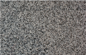 China New G654 Sesame Black/Impala Black Granite Tiles&Slabs