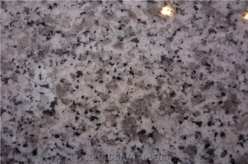 New Grey G640 White Black Flower Granite Tiles&Slabs