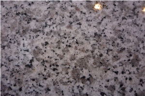 New Grey G640 White Black Flower Granite Tiles&Slabs