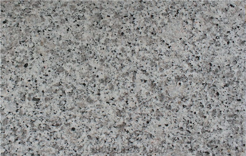 New Grey G640 White Black Flower Granite Tiles&Slabs