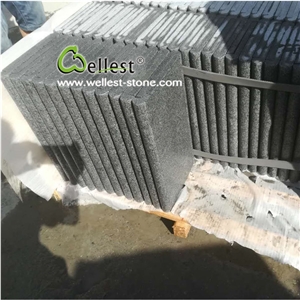 Anti-Slip Dark Grey Sesame Granite Swimming Pool Coping Tile