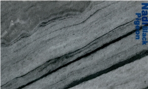 Nadi Black Marble- Pigeon Marble