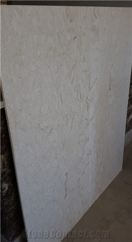 Shell Reef Limestone Slabs & Tiles