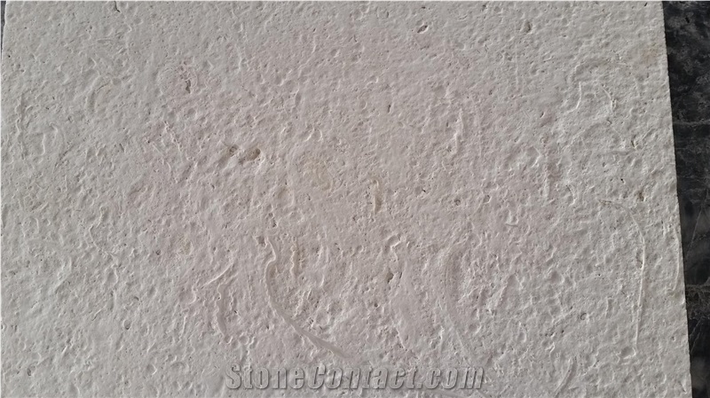 Shell Reef Limestone Slabs & Tiles