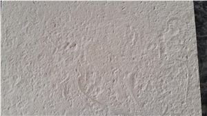 Shell Reef Limestone Slabs & Tiles