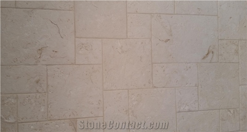 Shell Reef Limestone Slabs & Tiles