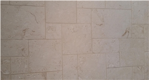 Shell Reef Limestone Slabs & Tiles