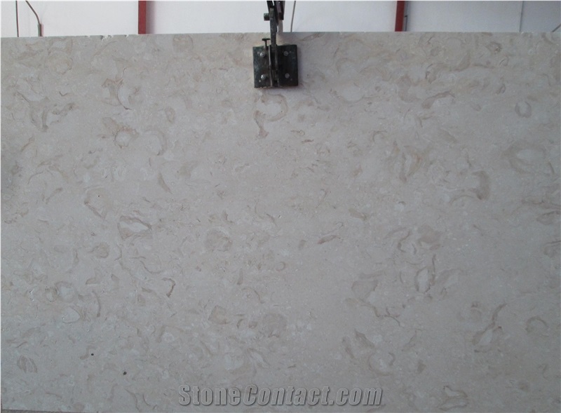Shell Reef Limestone Slabs & Tiles