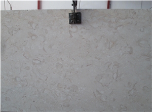Shell Reef Limestone Slabs & Tiles
