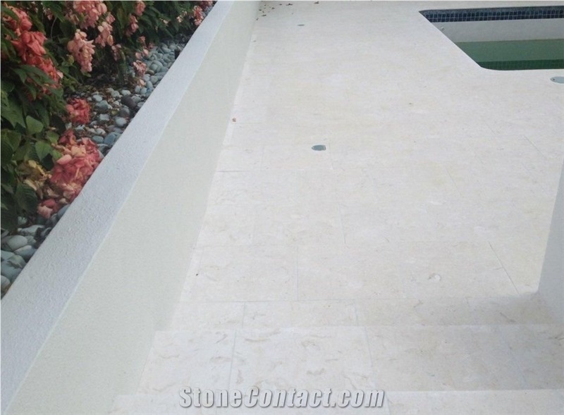 Shell Reef Limestone Slabs & Tiles