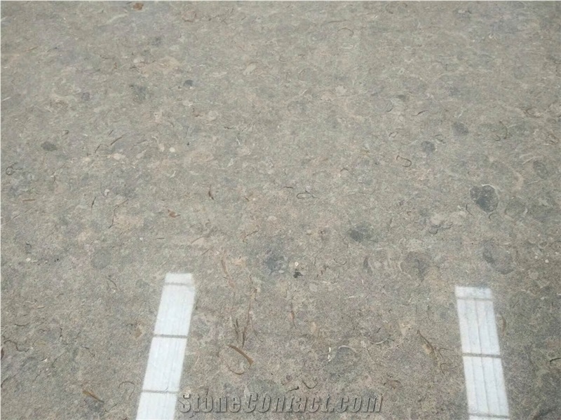 Beige Limestone,Beige Limestone for Paving,Wall Decoration,Portugal Limestone in China Markrt