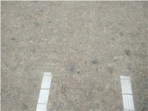 Beige Limestone,Beige Limestone for Paving,Wall Decoration,Portugal Limestone in China Markrt
