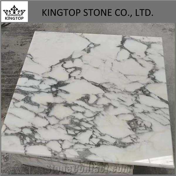 Italy Arabescato White Marble Round and Square Table Top with Plywood
