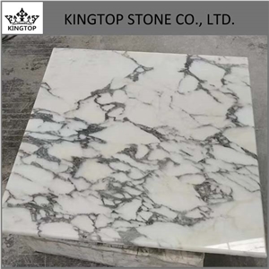 Italy Arabescato White Marble Round and Square Table Top with Plywood