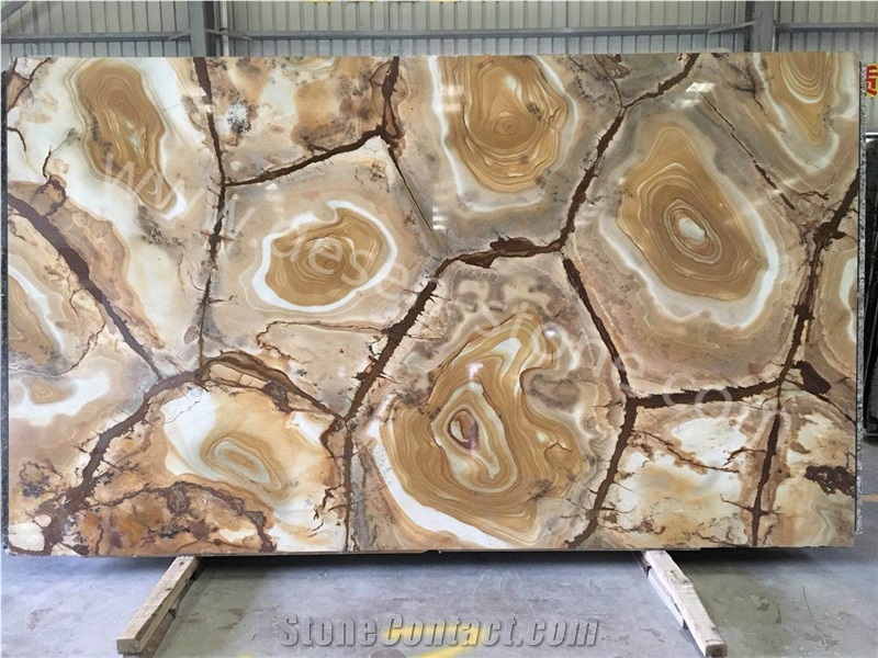Palomino Stone Wood Yellow Gold Quartzite/Granite Stone Slabs&Tiles