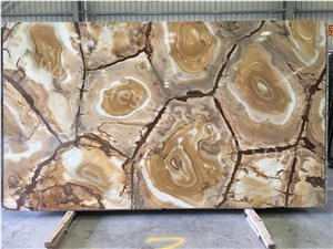 Palomino Stone Wood Yellow Gold Quartzite/Granite Stone Slabs&Tiles
