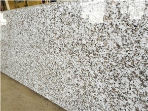 G439 Granite Bathroom Vanity Top/Bath Vanities,Countertops, Chinese Cheap White Granite for Bathroom, Chinese Big White Flower Granite Tops