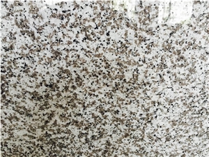 G439 Granite Bathroom Vanity Top/Bath Vanities,Countertops, Chinese Cheap White Granite for Bathroom, Chinese Big White Flower Granite Tops