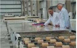 Sk-1601 Stone Surface Adhesive