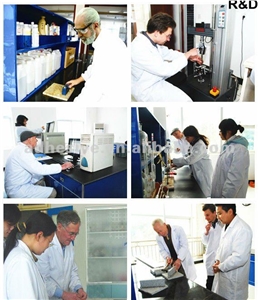 Sk-1621 Stone Bonding Adhesive