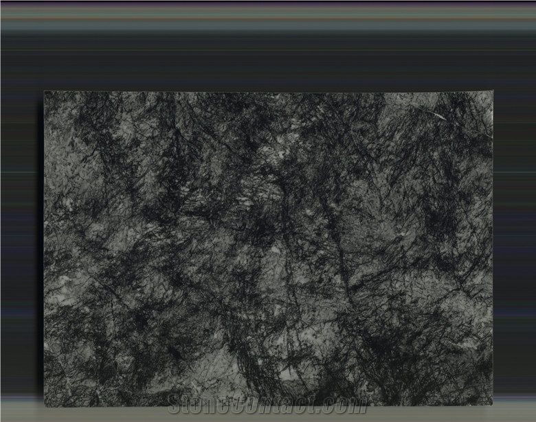 Agate Black Marble the Veins Like Tree New Material in Market