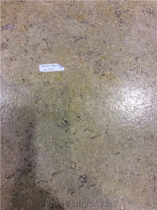 Sinai Pearl Marble Tiles Polished, Sinai Pearl Light Marble Slabs & Tiles
