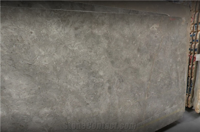 Grigio Billiemi Grey Marble Slabs from Italy
