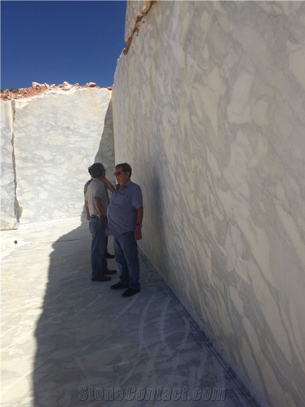 Australia White Marble-Statuario Australe Marble-Calacatta Australe