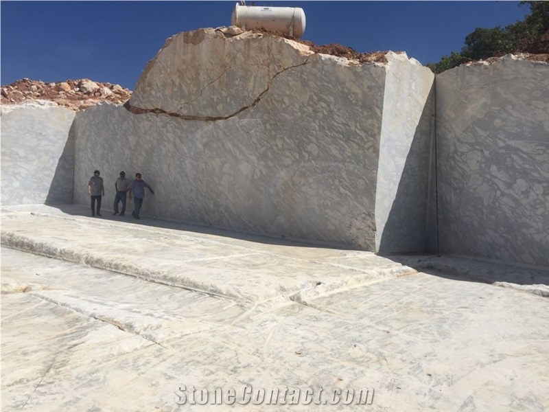 Australia White Marble-Statuario Australe Marble-Calacatta Australe