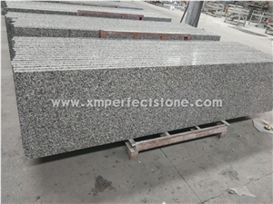 Swan White, Swan White Grey Granite Kitchen Countertop