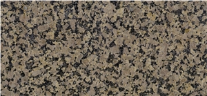 Diamond Golden Granite, Star Diamond Gold Granite
