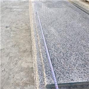 G383 Granite/Pearl Flower/Pearl White/Grey Pearl Chinese Granite, Top Polished Stairs & Steps/Treads & Thresholds, with Competitive Price