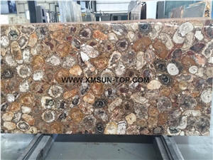 Polished Brown Petrified Wood(Round Wood) Semiprecious Stone Slab&Customized/Semi Precious Stone Slab for Wall Cladding&Flooring/Semi-Precious Stone Panel/Interior Decoration