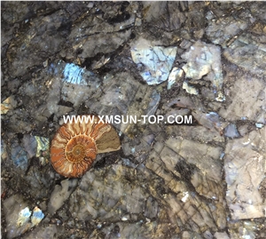 Polished Labradorit Semiprecious Stone with Gold Line Slab/Semi-Precious Stone( White Backlit)/Green Semi Precious Stone Slab for Wall Cladding&Flooring/Semi-Precious Stone Panel/Interior Decoration