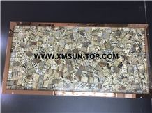 Polished Yellow Fossil Semiprecious Stone Slabs/Luxury Yellow Semi-Precious Stone Slab&Tile&Customized/Semi Precious Stone Slab for Wall Cladding&Flooring/Semi-Precious Stone Panel/Interior Decoration