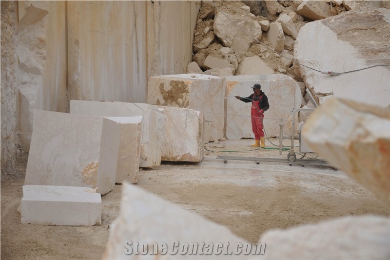 Golden Spider Marble Blocks