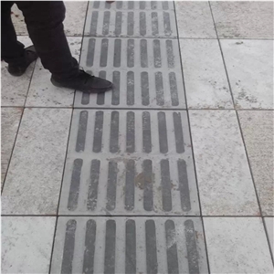China Natural Padang Grey Granite G654 Granite Tactile Blind Paving