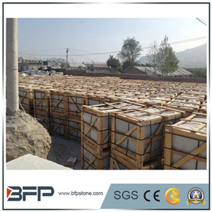 Barry White,Black Silver,Black Spot Gray Granite,Black White Flower,Deep Sea Rock Granite Tiles