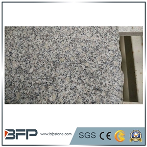 China Grey Sardo,Mayflower Snow,Nanan Mayflower Snow,Nanan Snow Plum,Nanan Yue Li Mei Slabs for Countertoop/Tops