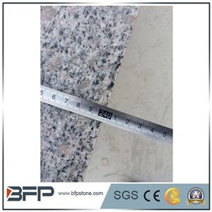 Jade White,Pearl Blossom Of Zhaoyuan Granite,Pearl Flower Granite,Pearl White Granite Half Slabs for Countertop