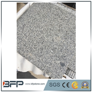 Small White Flower,Spotted Zebra,Sugar Beige,White Leopard,White Of Dongshi,White Pearl Slabs for Kitchen Countertops or Bar Tops